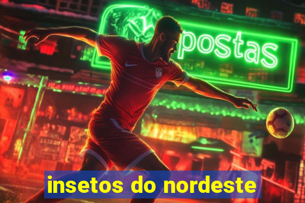 insetos do nordeste